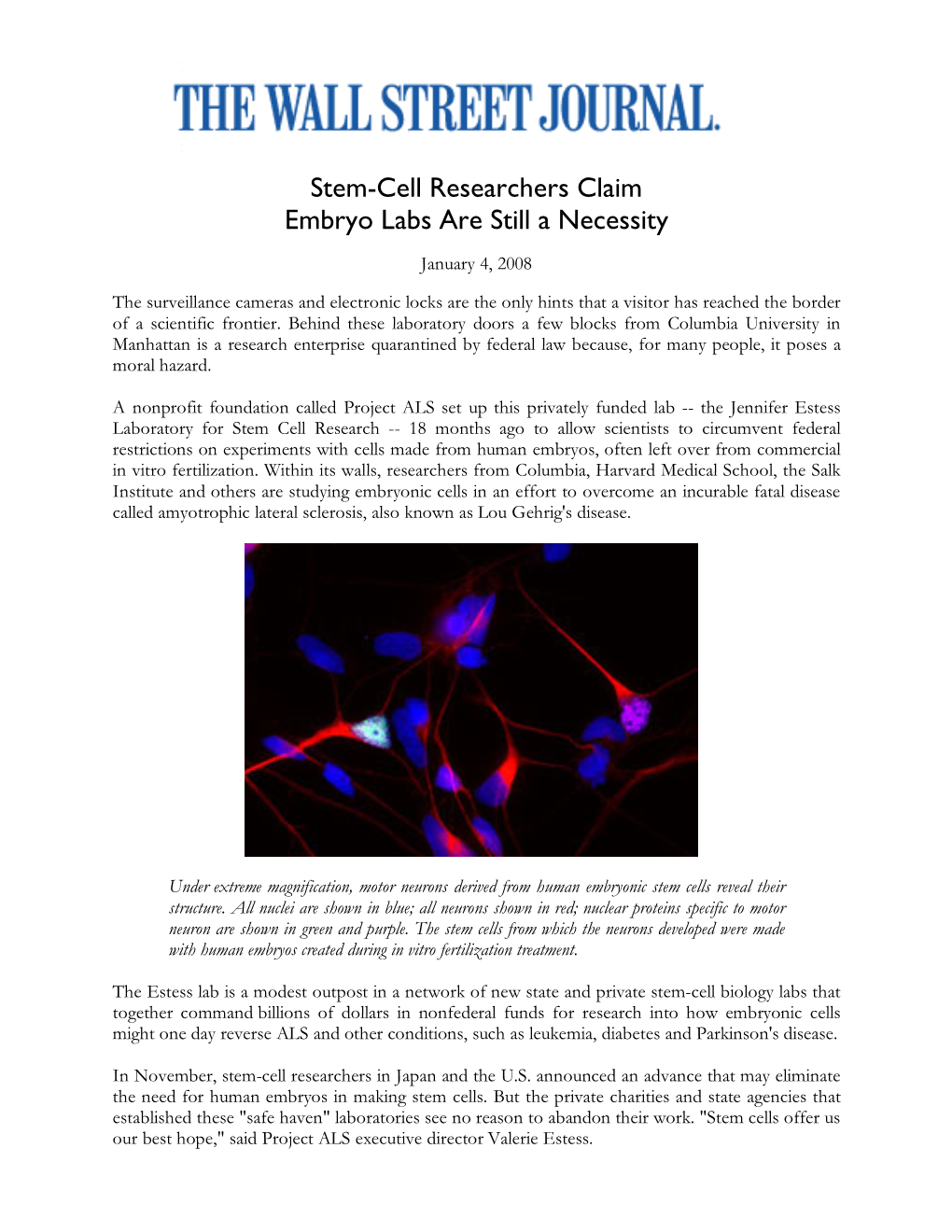 Stem-Cell Researchers Claim Embryo Labs Are Still a Necessity