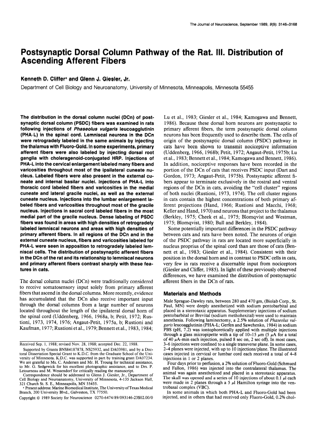 Postsynaptic Dorsal Column Pathway of the Rat. III. Distribution of Ascending Afferent Fibers