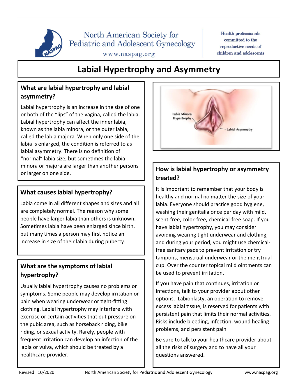 Labial Hypertrophy and Asymmetry