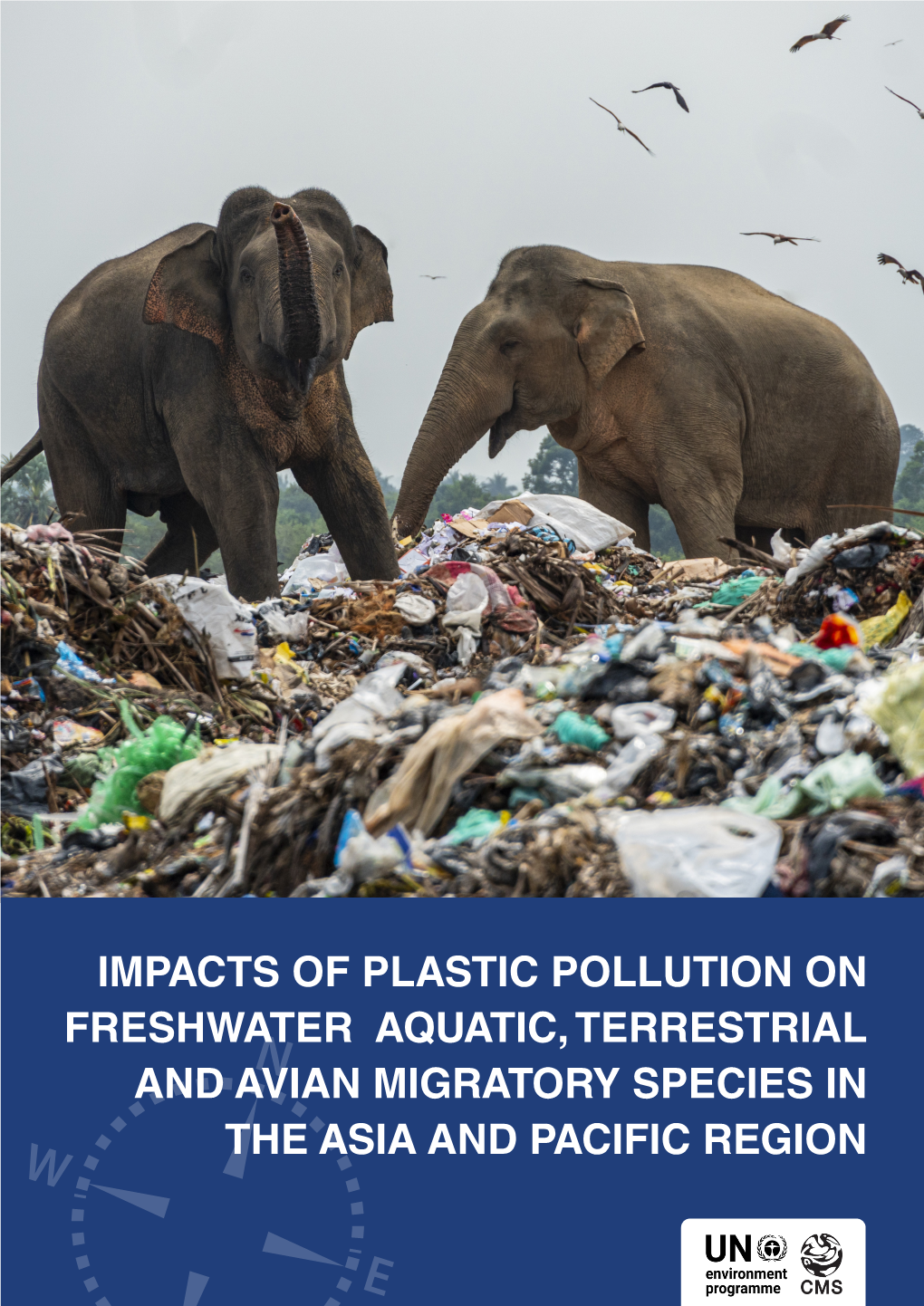Impacts of Plastic Pollution on Freshwater Aquatic, Terrestrial and Avian Migratory Species in the Asia and Pacific Region | 1
