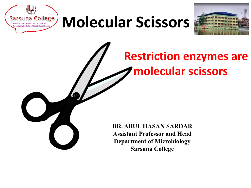 Restriction Enzymes Are Molecular Scissors