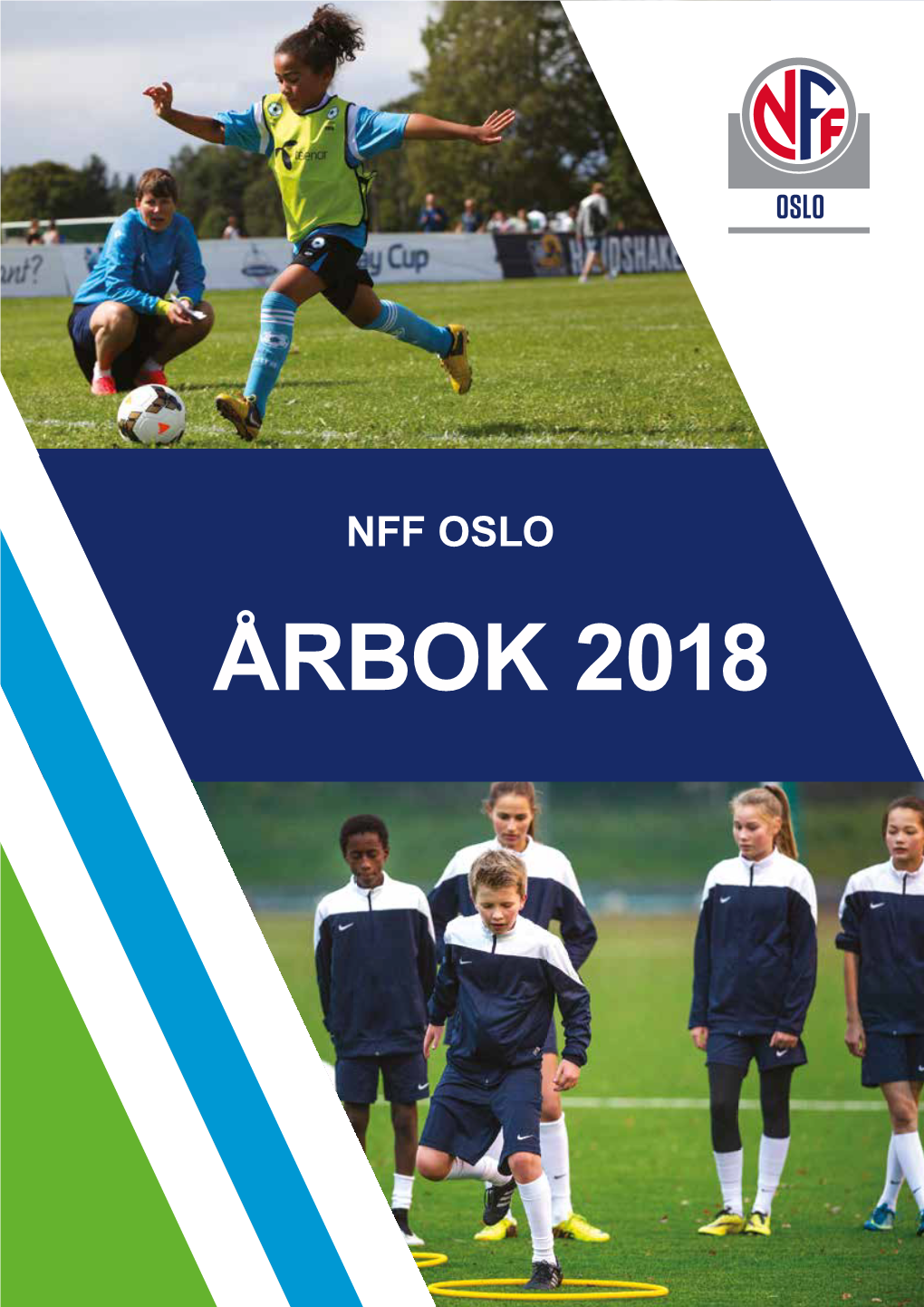 Årbok 20182012017