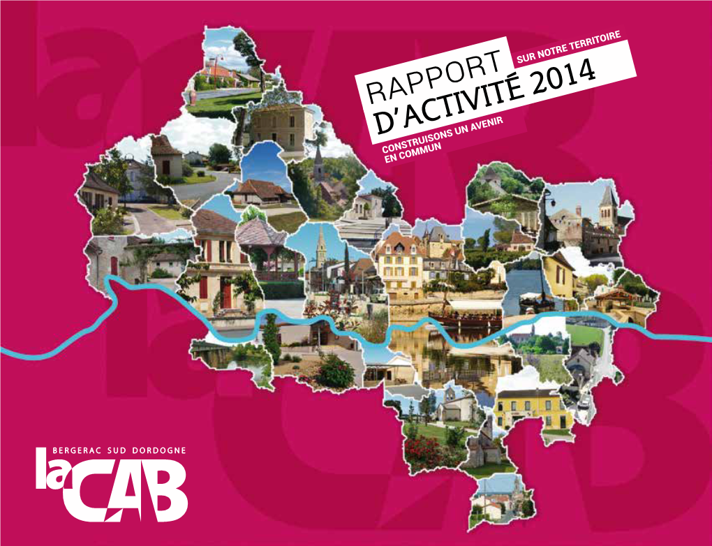 Rapport D'activité 2014