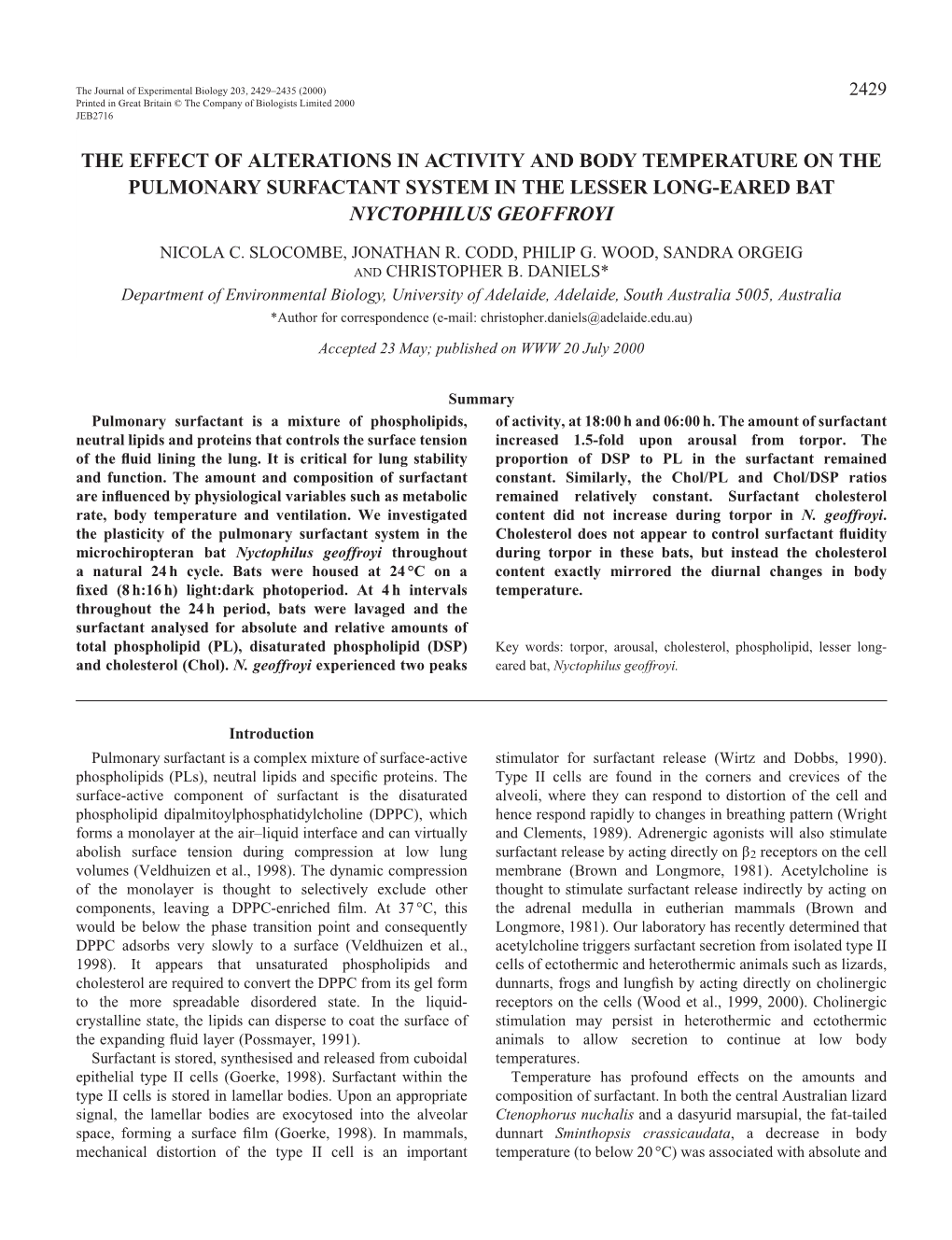 Cycling of Surfactant in Bats 2431