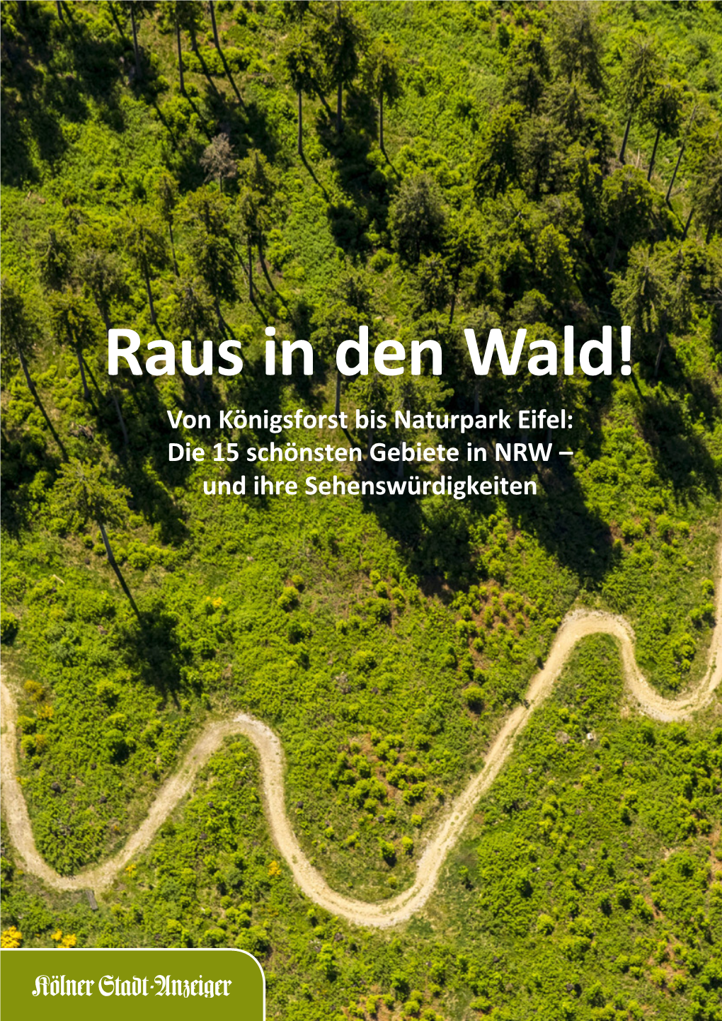 Raus in Den Wald! Von Königsforst Bis Naturpark Eifel: Die 15 Schönsten Gebiete in NRW – Und Ihre Sehenswürdigkeiten