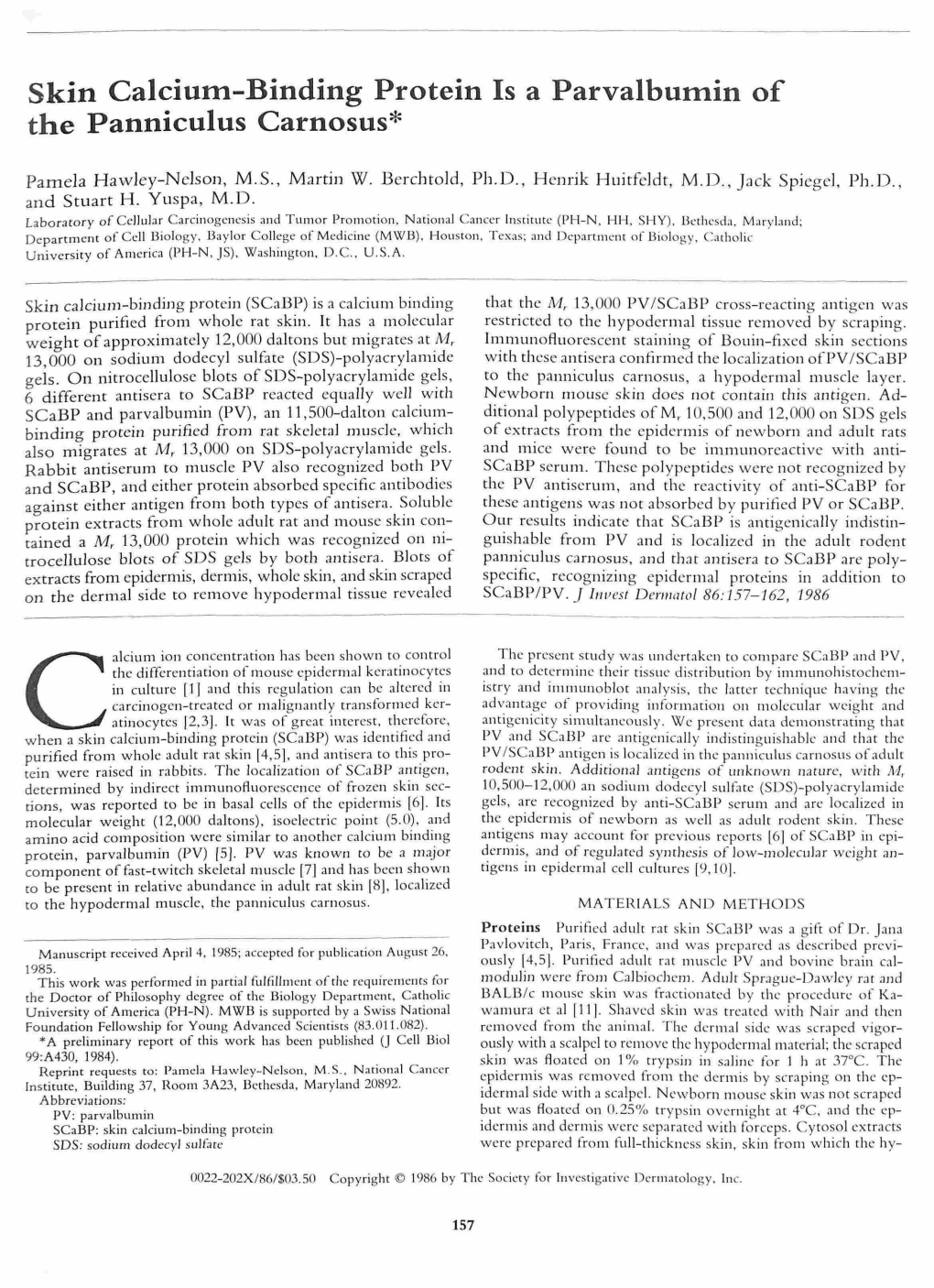 Skin Calcium-Binding Protein Is a Parvalbumin of the Panniculus Carnosus*