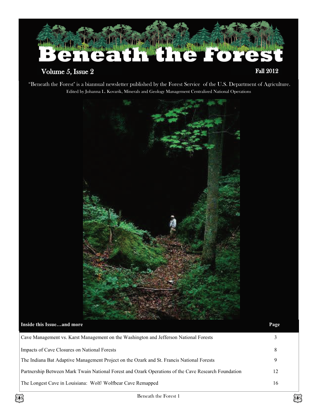 Beneath the Forest, Fall 2012 Internal Version