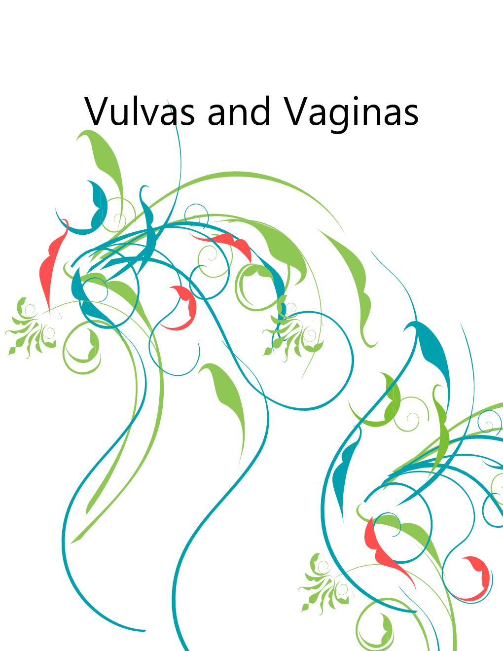 Vulvas and Vaginas