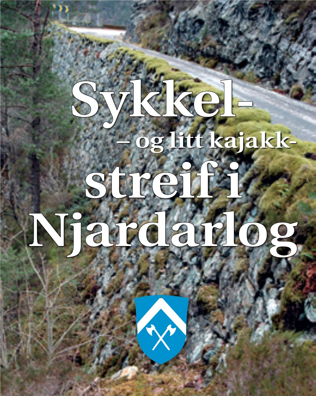 Sykkel- Streif I