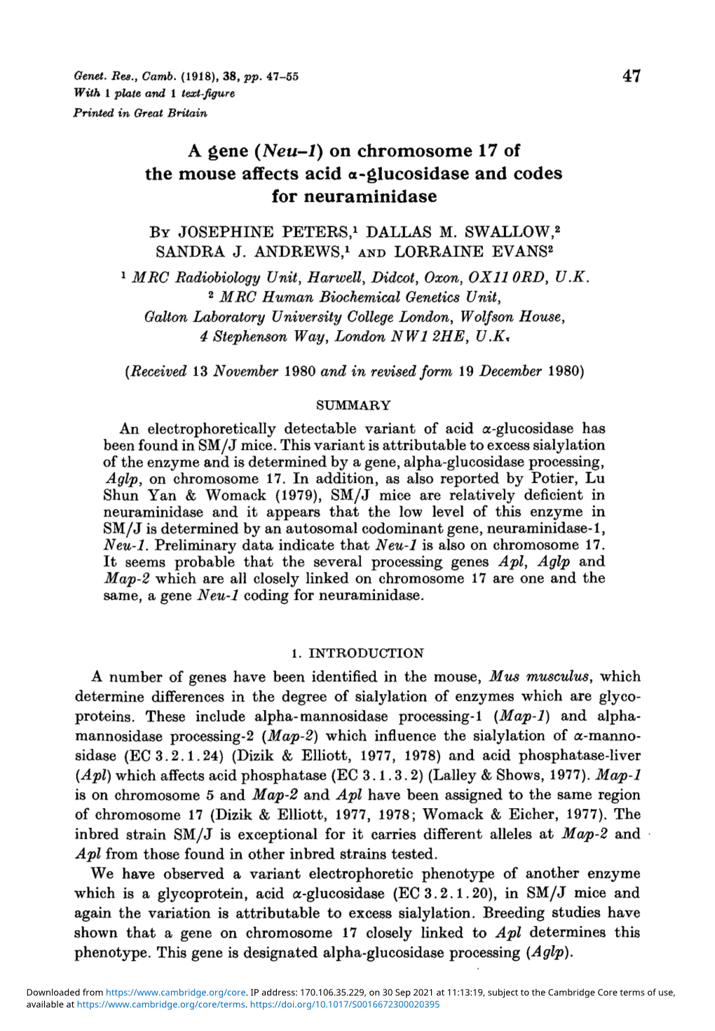 A Gene (Neu-1) on Chromosome 17 of the Mouse Affects Acid O-Glucosidase and Codes for Neuraminidase