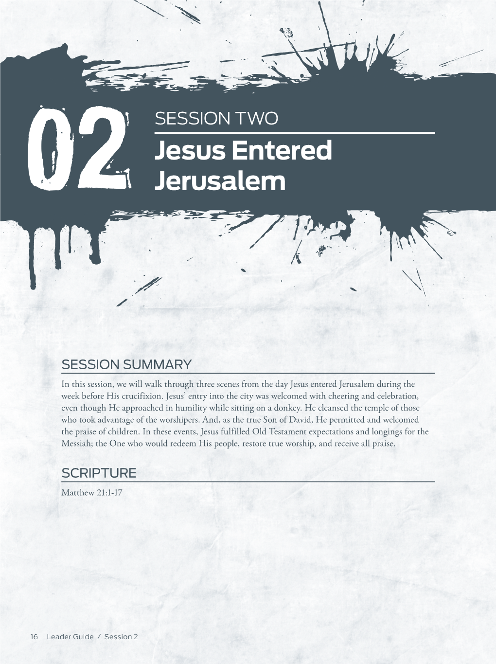 Jesus Entered Jerusalem