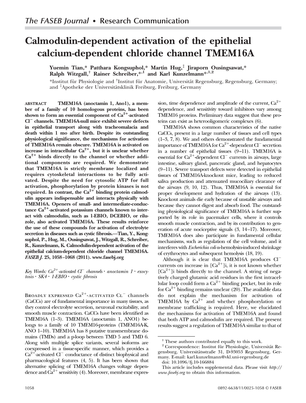 Calmodulin-Dependent Activation of the Epithelial Calcium-Dependent Chloride Channel TMEM16A