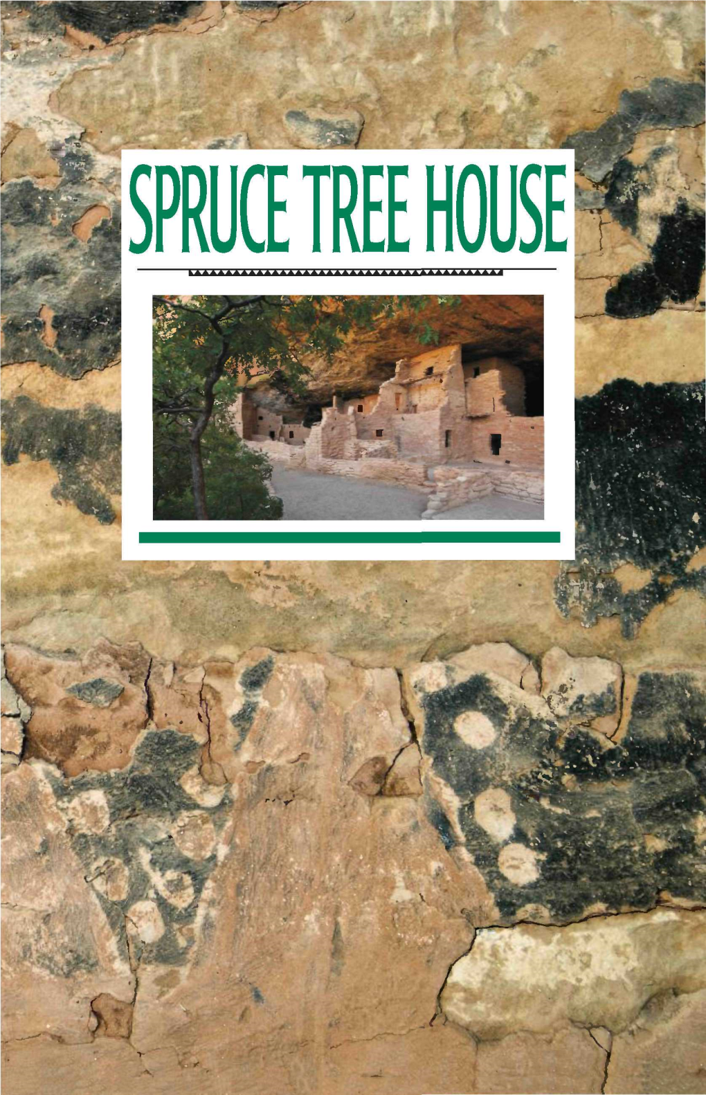 W Felcome to Spruce Tree House, the Third Largest and Best