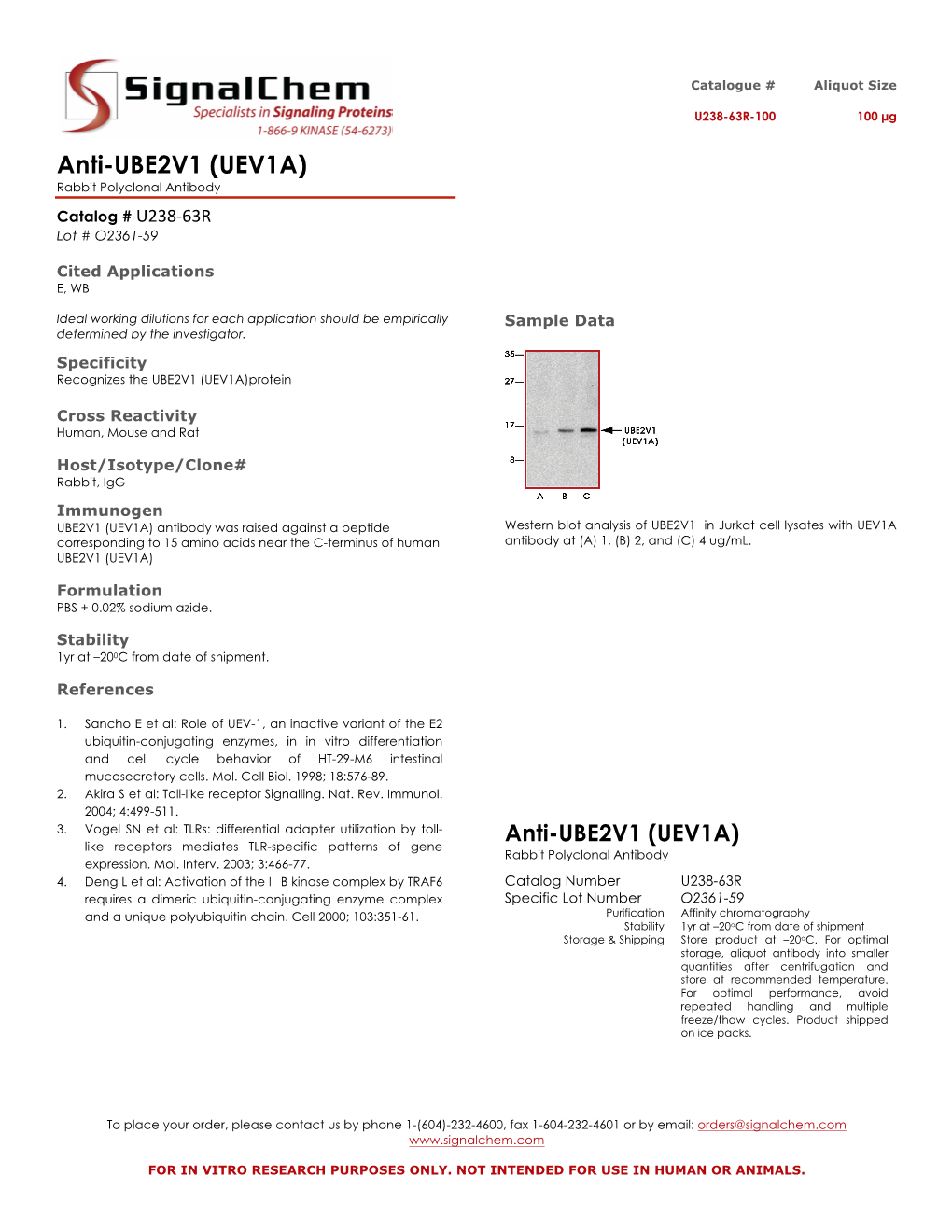 Anti-UBE2V1 (UEV1A) Rabbit Polyclonal Antibody