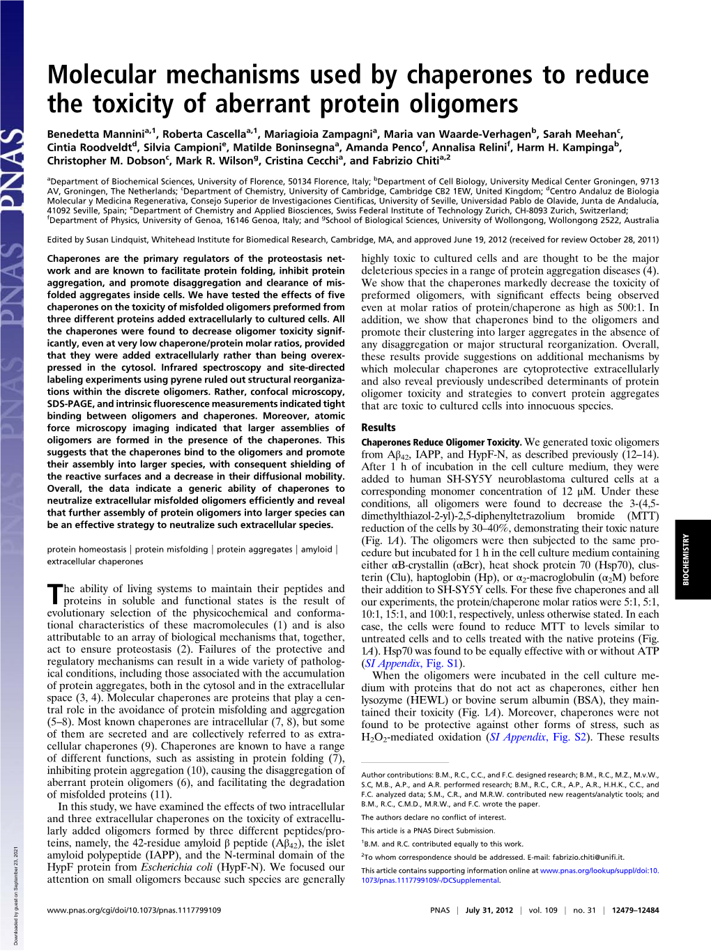 Molecular Mechanisms Used by Chaperones to Reduce the Toxicity of Aberrant Protein Oligomers