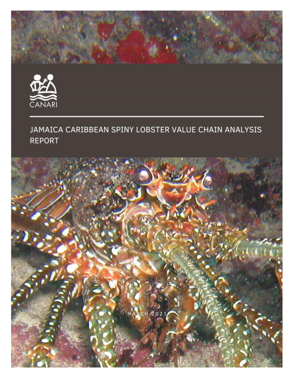 Caribbean Spiny Lobster Value Chain Analysis Report