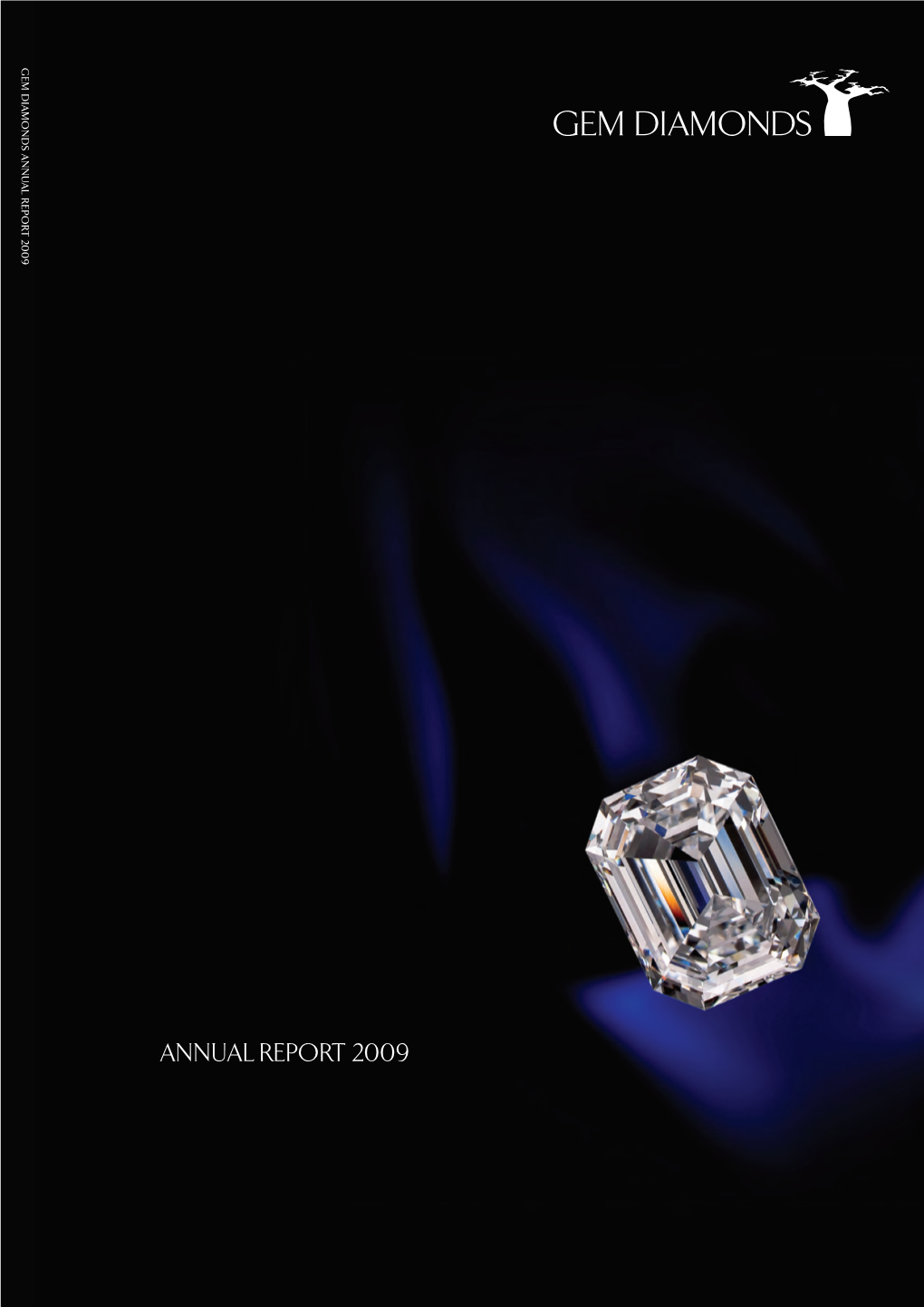 View Annual Report