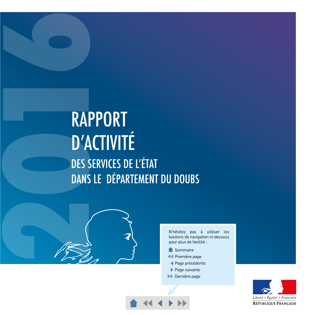 016Rapport D'activité