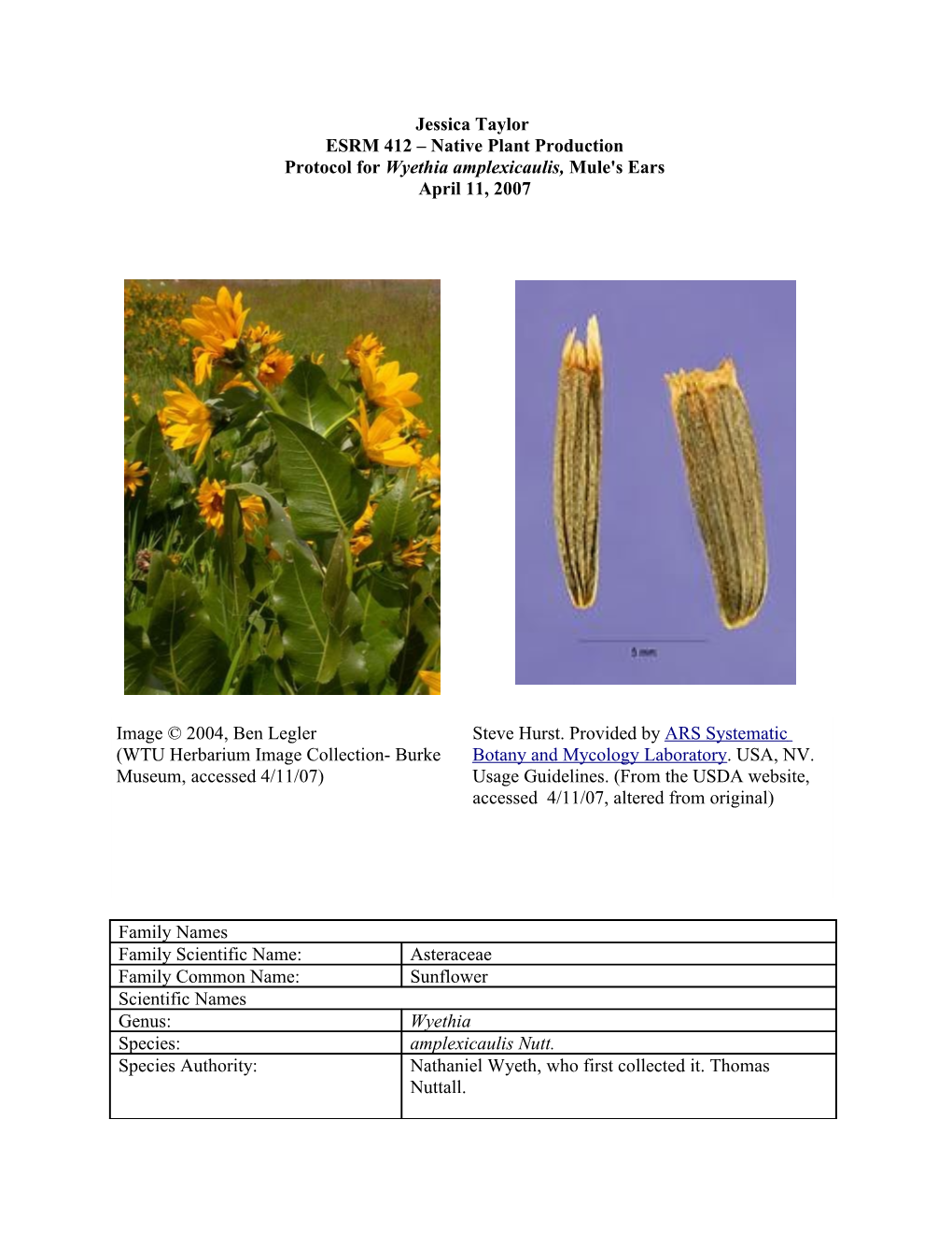 Draft Plant Propagation Protocol