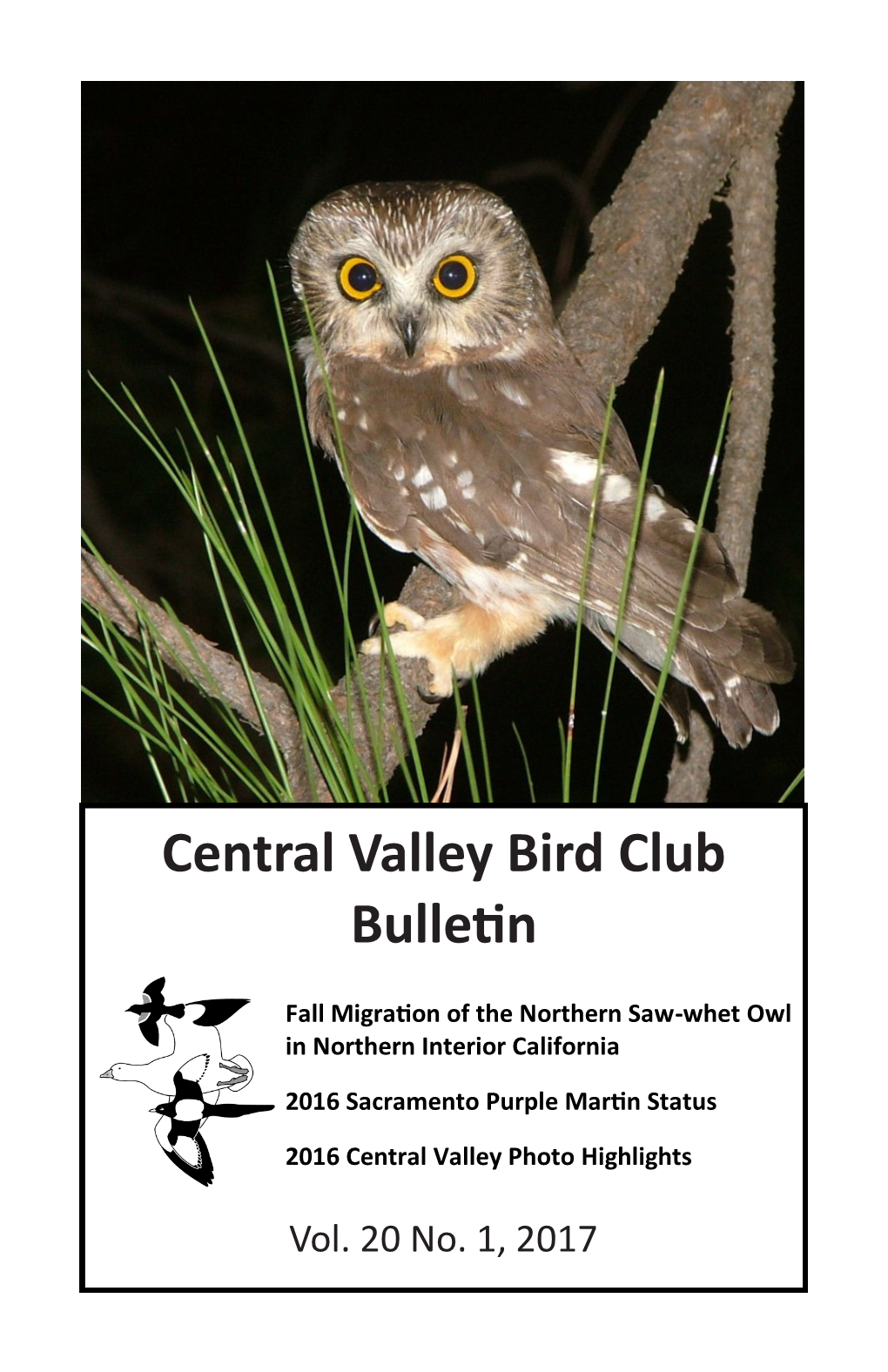 Central Valley Bird Club Bulletin