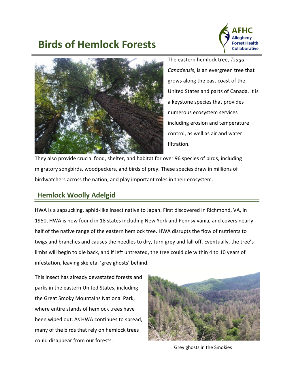 Birds of Hemlock Forests