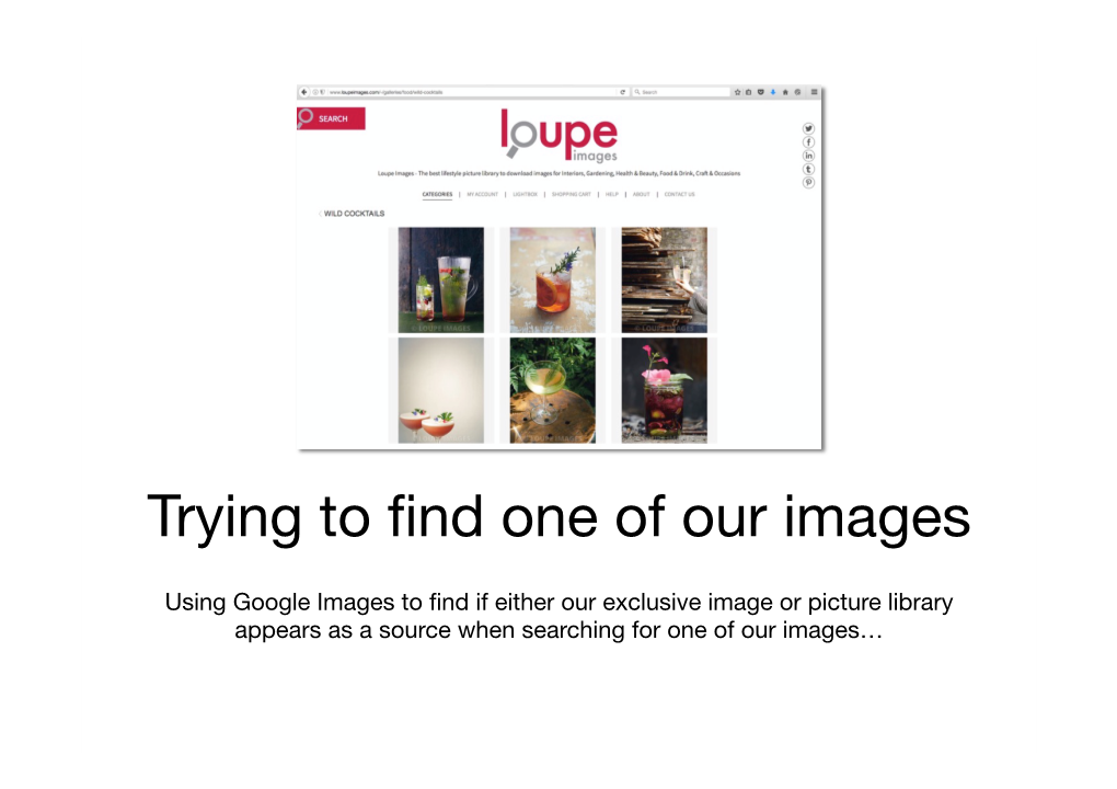 Using Google Images to Find One of Our Images