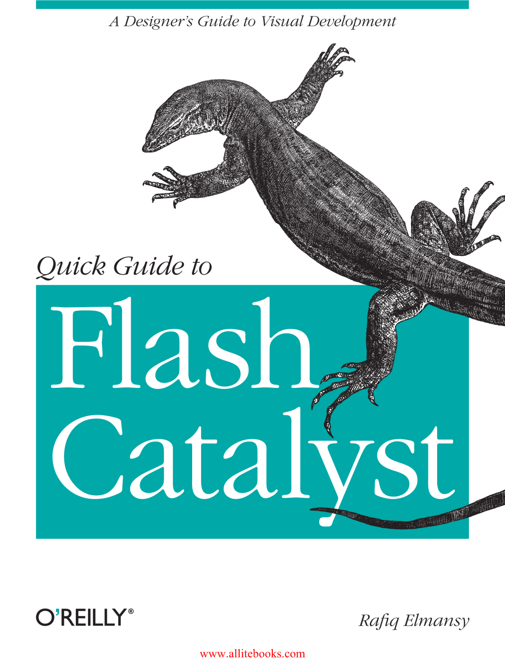 CHAPTER 3 Starting a Flash Catalyst Project