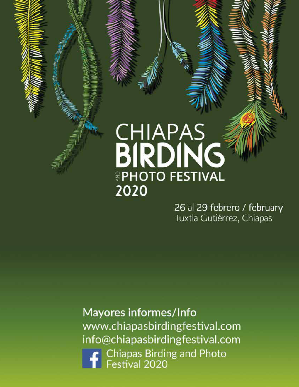 Itinerario Y Programa Completo Chiapas Birding