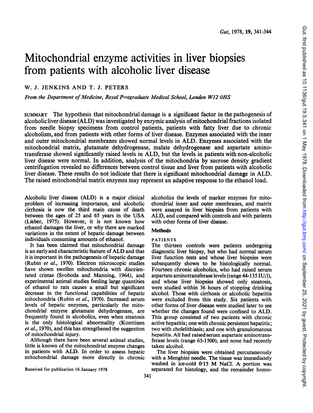 Mitochondrial Enzyme Activities in Liver Biopsies from Patients with Alcoholic Liver Disease