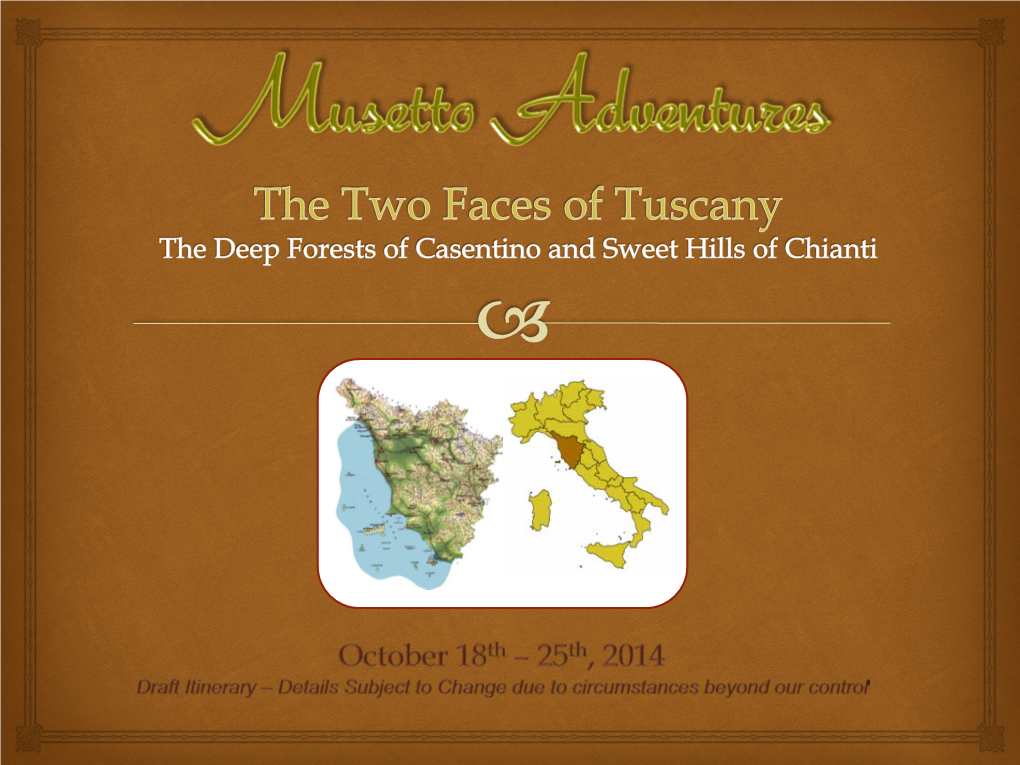 Two Faces of Tuscany Deep Forests of Casentino and Sweet Hils of Chianti