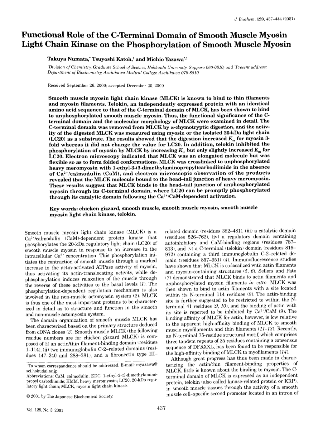 Functional Role of the C-Terminal Domain of Smooth Muscle Myosin Light Chain Kinase on the Phosphorylation of Smooth Muscle Myosin