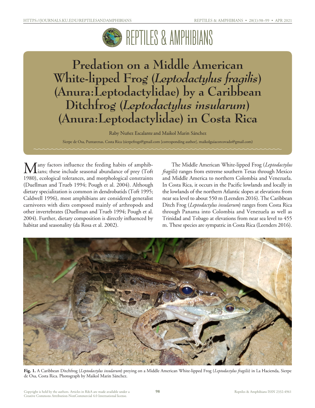 Cfreptiles & Amphibians