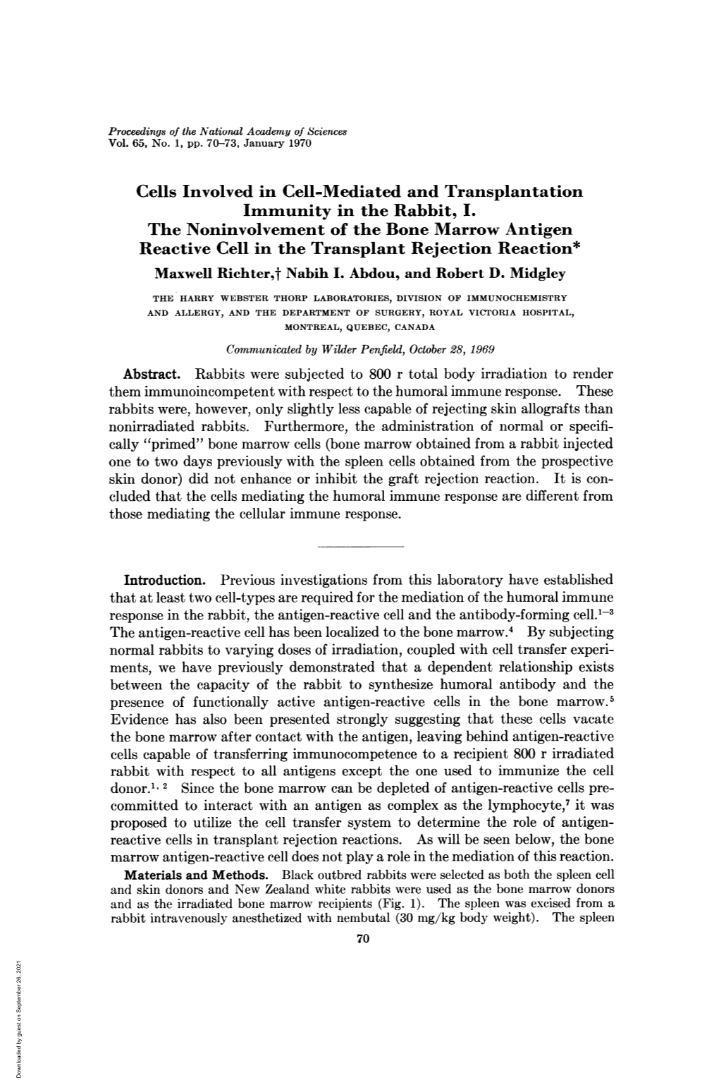 Cells Involved in Cell-Mediated and Transplantation Immunity in the Rabbit, I