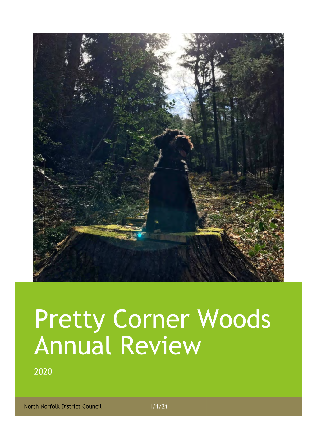 Pretty Corner Woods Annual Review 2020