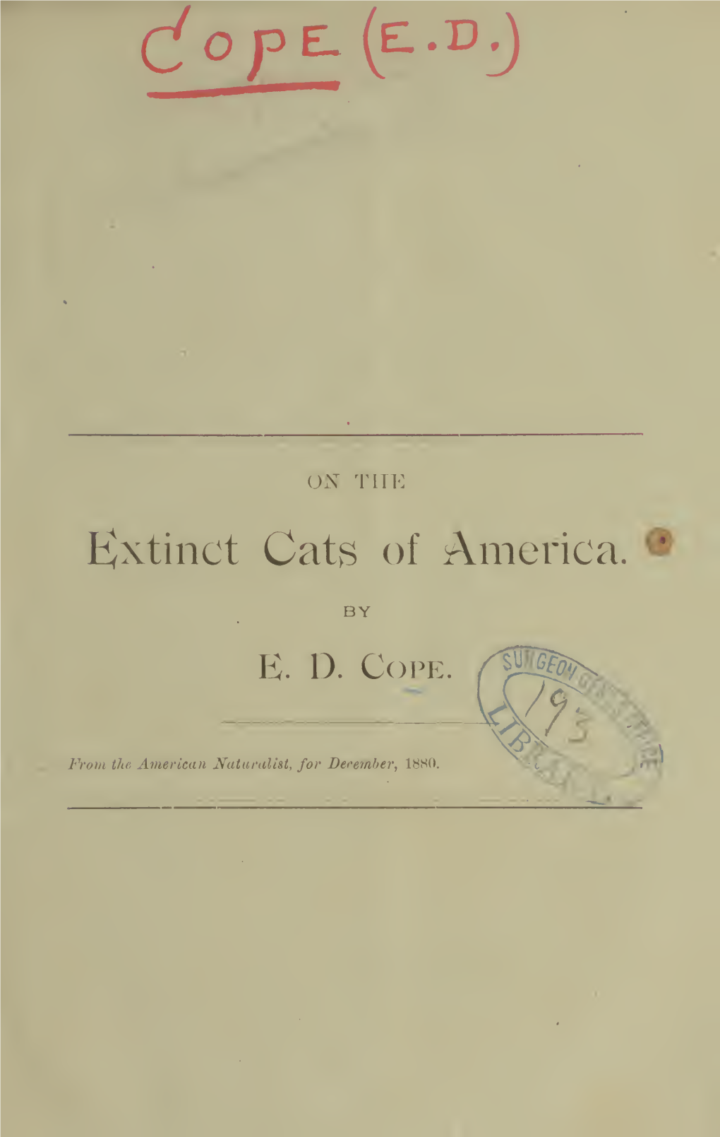 ON the Extinct Cats of America