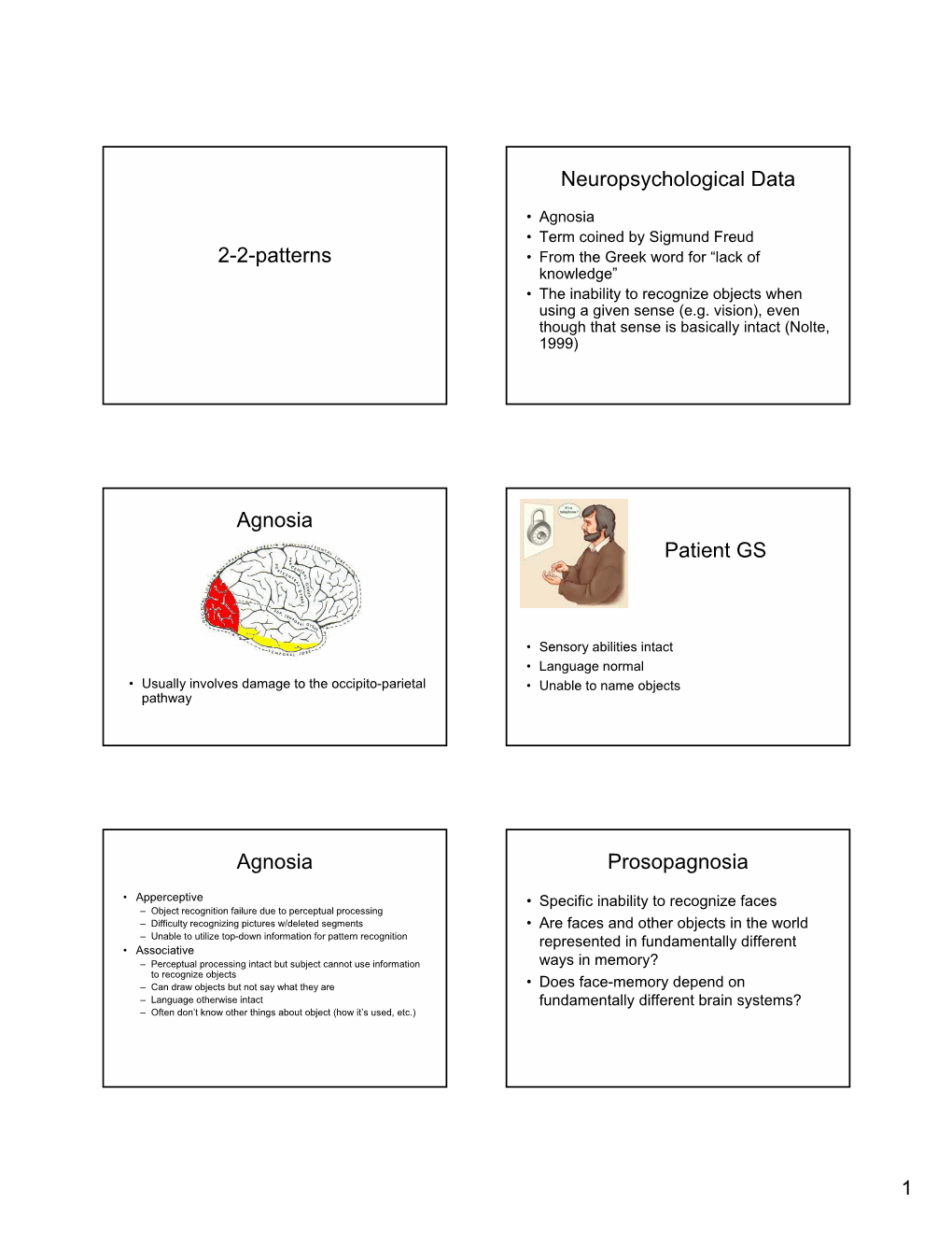 2-2-Patterns Neuropsychological Data Agnosia Patient GS