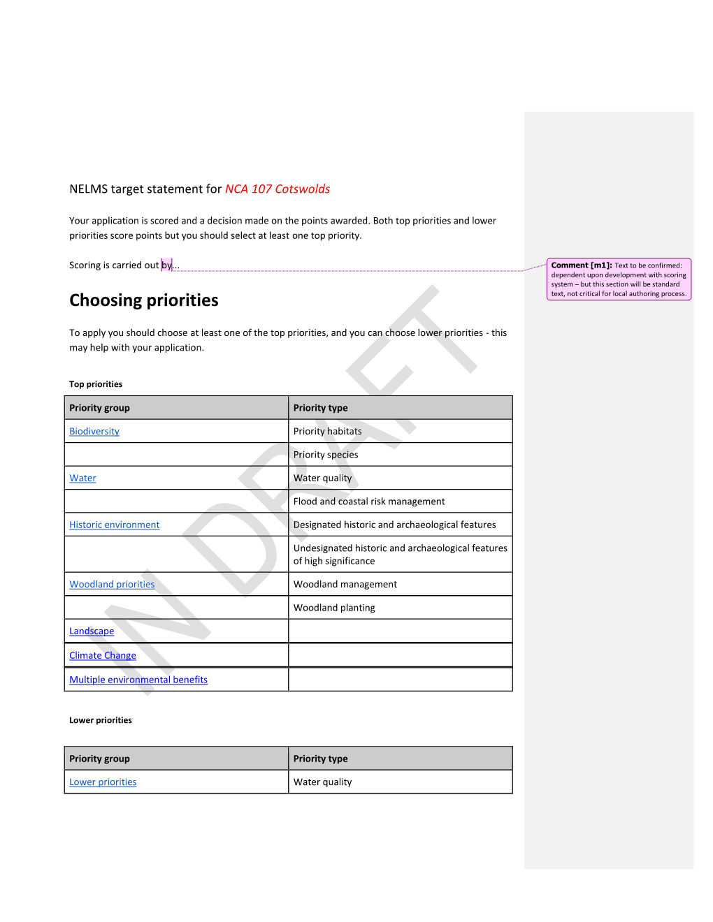 Choosing Priorities Text, Not Critical for Local Authoring Process