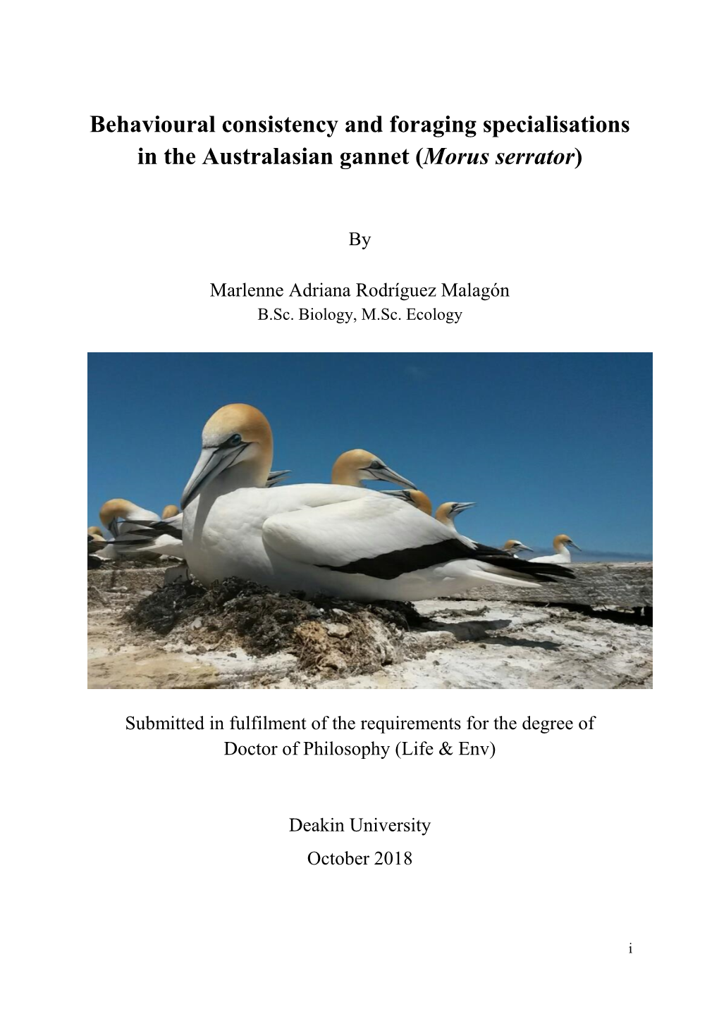 Behavioural Consistency and Foraging Specialisations in the Australasian Gannet (Morus Serrator)