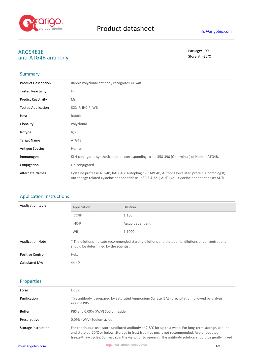 Anti-ATG4B Antibody (ARG54818)