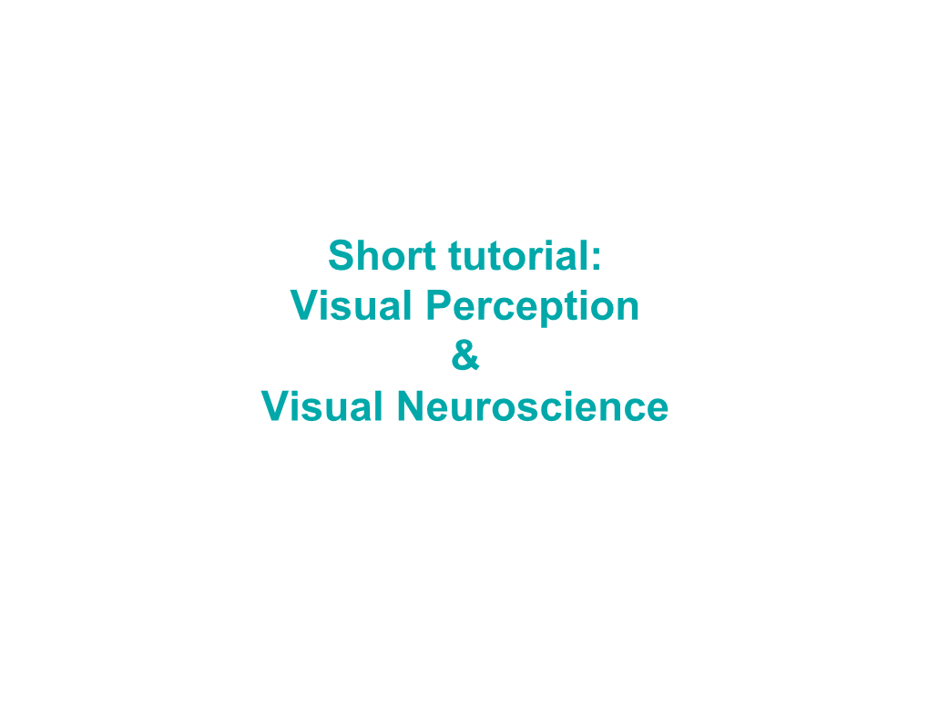 Visual Perception & Visual Neuroscience