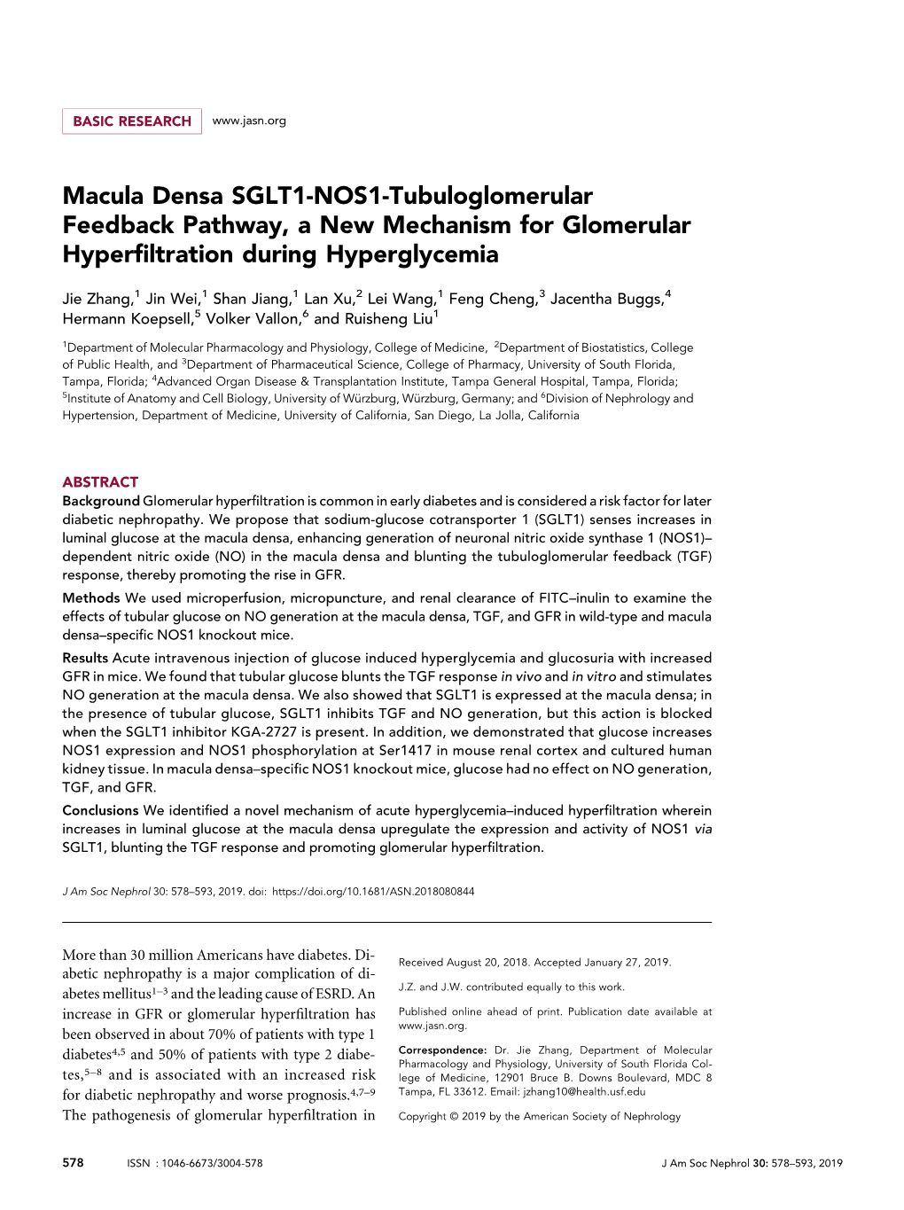 Macula Densa SGLT1-NOS1-Tubuloglomerular Feedback Pathway, a New Mechanism for Glomerular Hyperﬁltration During Hyperglycemia