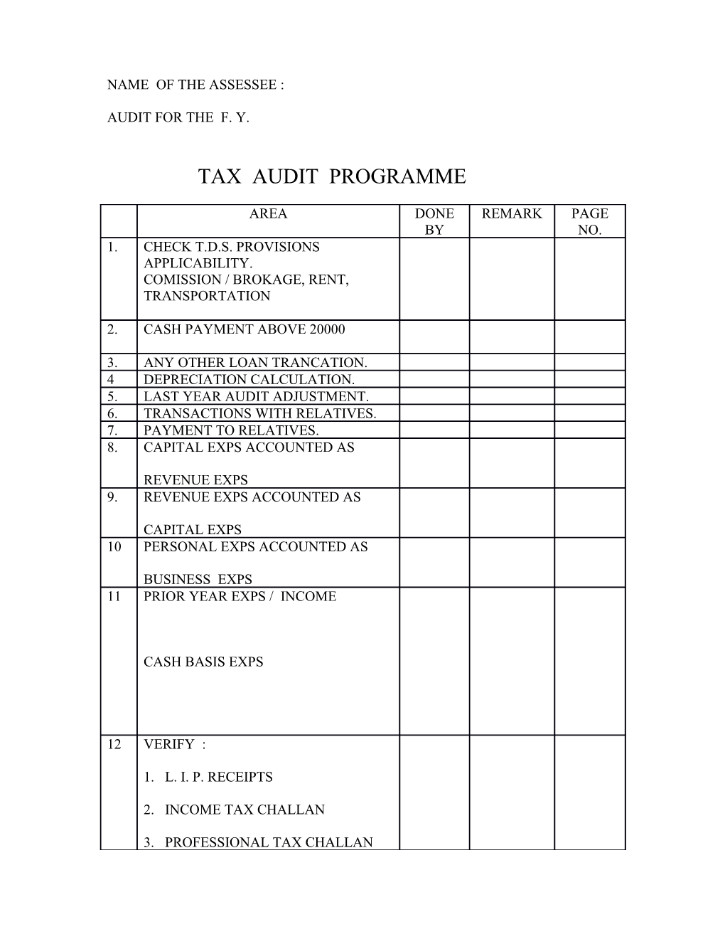 Tax Audit Program