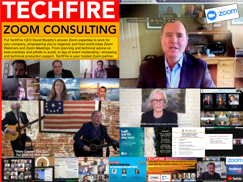 Techfire Zoom Consulting