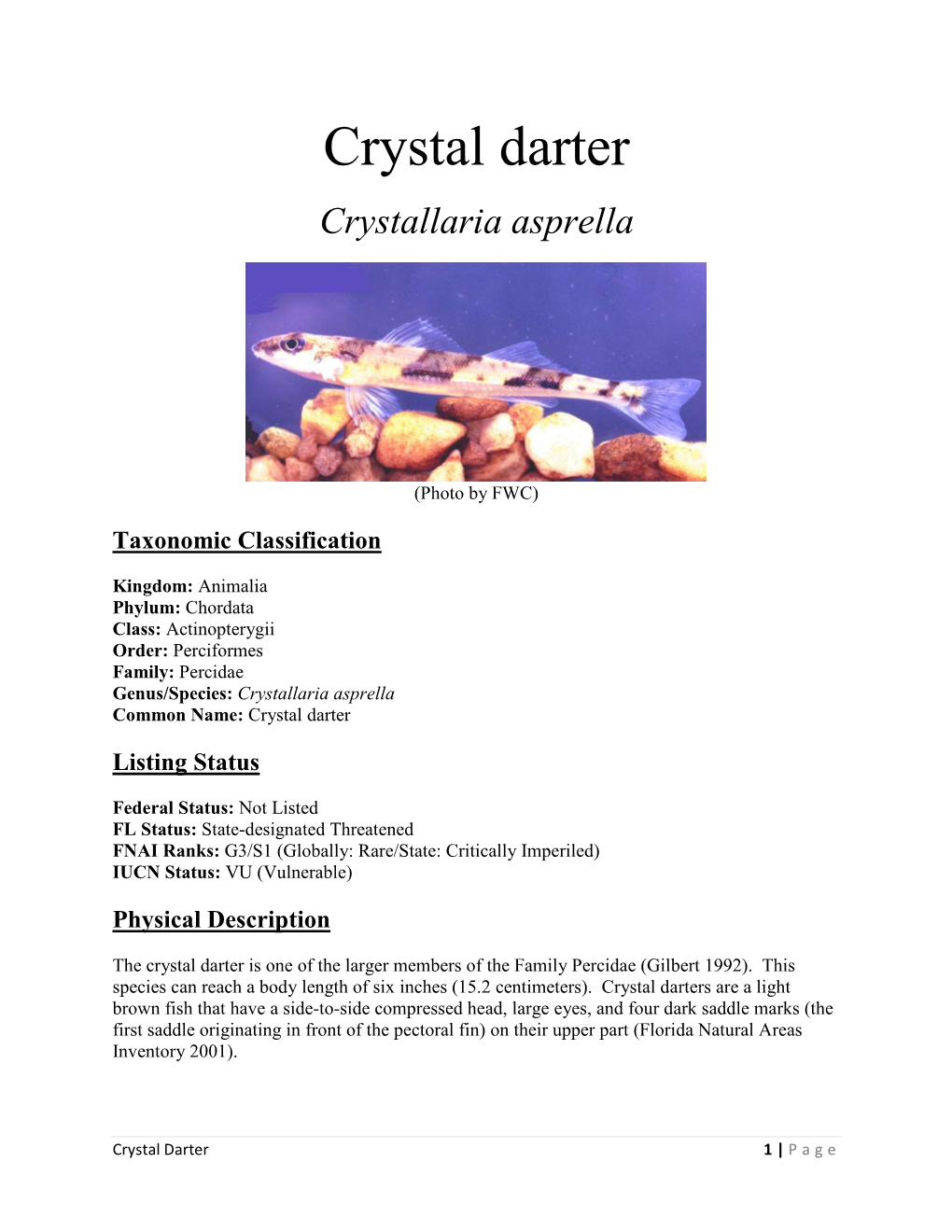 Crystal Darter