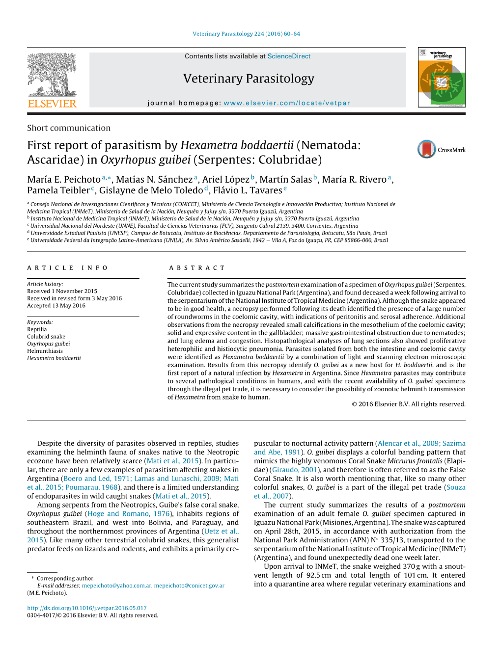 First Report of Parasitism by Hexametra Boddaertii (Nematoda: Ascaridae