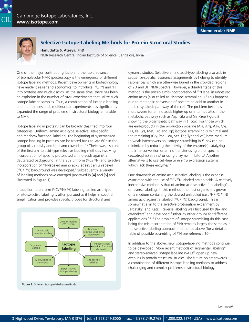 Selective Isotope Labeling Methods for Protein Structural Studies