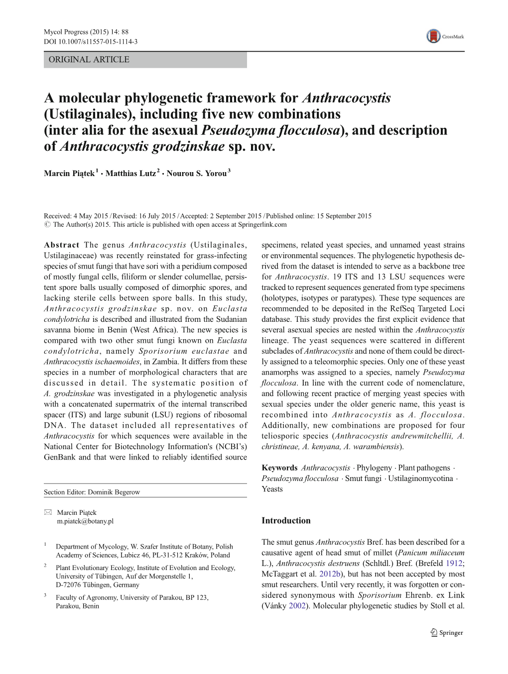 A Molecular Phylogenetic Framework for Anthracocystis (Ustilaginales)