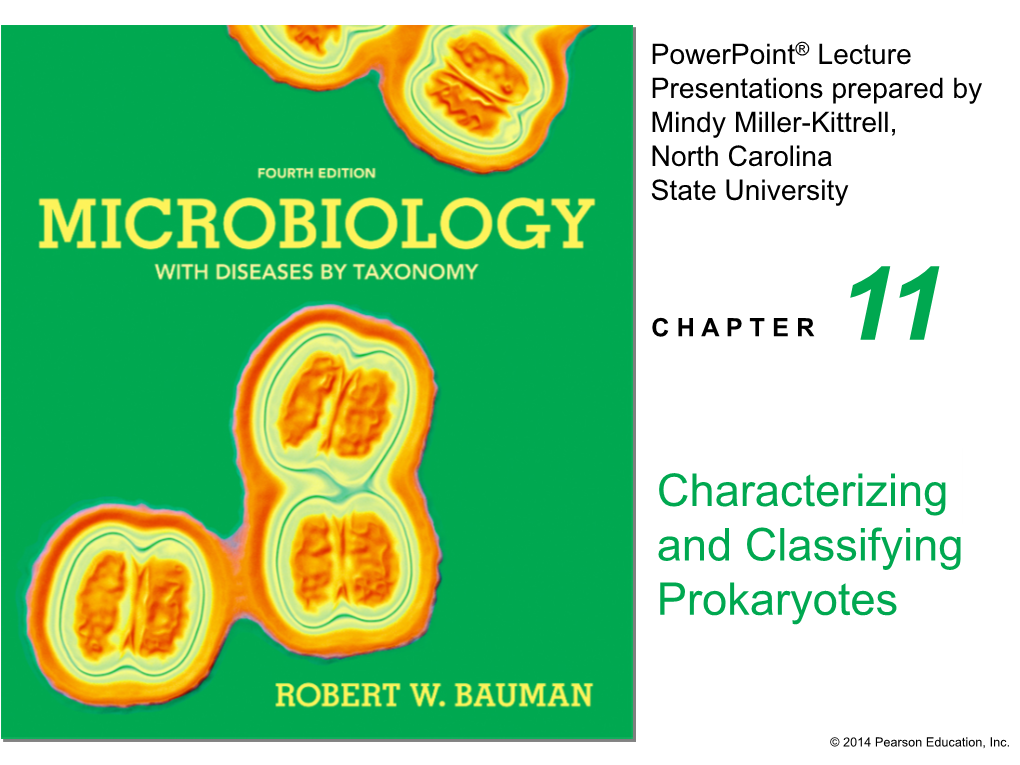 Characterizing and Classifying Prokaryotes