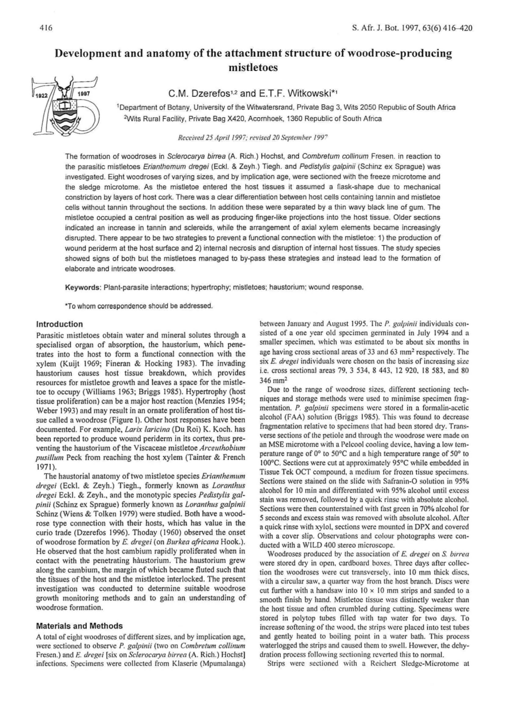 Development and Anatomy of the Attachment Structure of Wood Rose-Producing Mistletoes