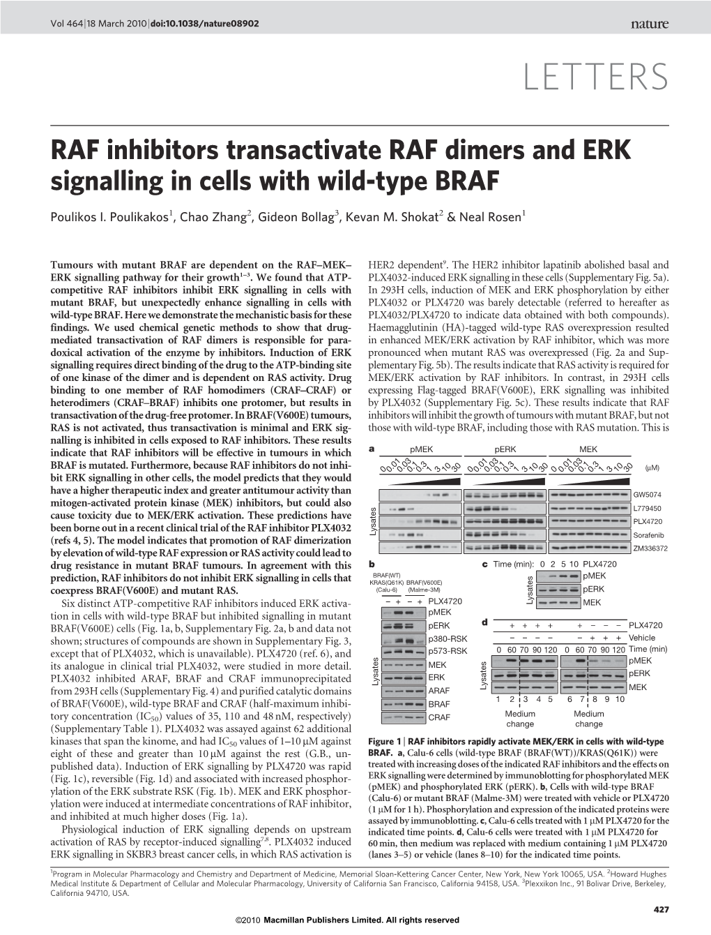 RAF Inhibitors Transactivate RAF Dimers and ERK Signalling in Cells with Wild-Type BRAF